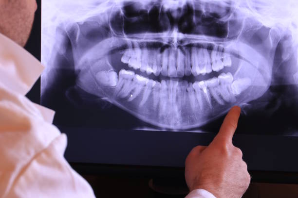 Best Emergency X-Rays and Diagnostics in Williamstown, WV